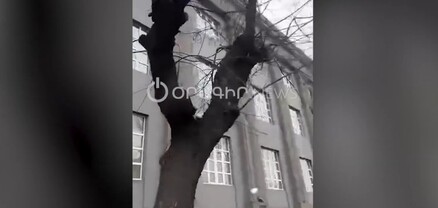 Բժշկական համալսարանի կտուրից սառույցներ են ընկնում. բացառիկ տեսանյութ