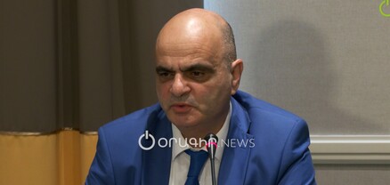 Կարմիր խաչում տեղի ունեցող խժդժությունների հետևում Անահիտ Ավանեսյանն է