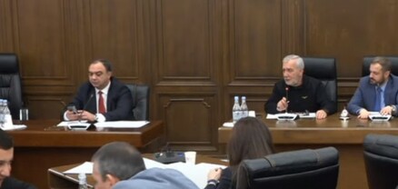 Զեյնալլիի մասով ՌԴ-ից հարցումը ստացել ու նույն օրը պատասխանել ենք. ՆԳ նախարար