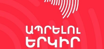 Իշխանությունը ավագանու անդամներին մանդատից զրկելով փորձում է լռեցնել այլակարծությունը․ «Ապրելու երկիր»