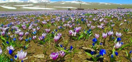 Գարնան առաջին օրը տեղումներ չեն սպասվում, օդի ջերմաստիճանը կբարձրանա