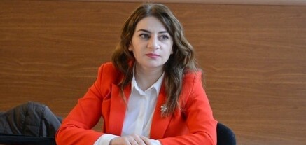 Պաշտոնյաները քաղաքում չեն զբոսնում, իսկ մեզ զրկում են մաքուր օդից. բնապահպան