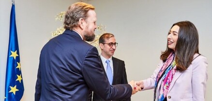 Արփինե Սարգսյանը ԵԽ գլխավոր քարտուղարի տեղակալի հետ քննարկել է վիզաների ազատականացմանն առնչվող հարցեր