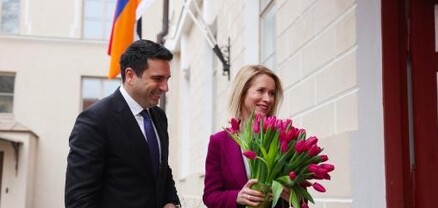 Ալեն Սիմոնյանը հանդիպել է Էստոնիայի խորհրդարանի նախագահ Լաուրի Հուսսարի եւ խորհրդարանականների հետ