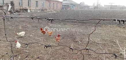 Ցեխոտ փողոցները մանրամասն նկարեք, թող Փաշինյանը տեսնի, ինքն է ասֆալտի մասնագետը. սահմանամերձ գյուղի բնակիչ