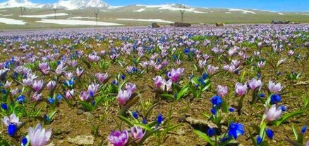 Օդի ջերմաստիճանը աստիճանաբար կբարձրանա 4-7 աստիճանով
