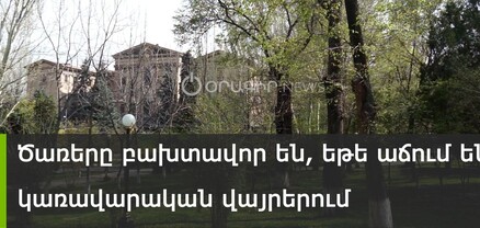 Ինչո՞ւ չեն կտրում կառավարական ամառանոցի, ԱԺ այգու, նախագահական նստավայրի հին ծառերը