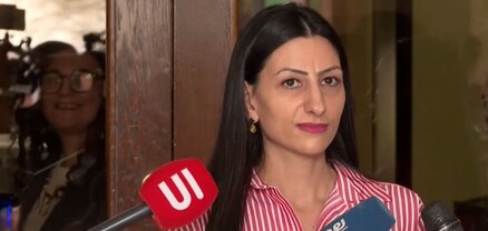 Եթե դիմել ենք, ուրեմն անհամաչափ ուժի կասկած տեսել ենք․ ՄԻՊ-ը՝ Նարեկ Սամսոնյանին բերման ենթարկելու մասին