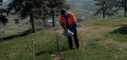 Շրջակա միջավայրի նախարարության ենթակա ՊՈԱԿ-ների տարածքներում իրականացվել է ծառատունկ