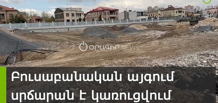 Ծառերի փոխարեն՝ բետոն․ Բուսաբանական այգում սրճարան են կառուցում