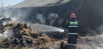 Տաշիր քաղաքում անասնագոմ է այրվել