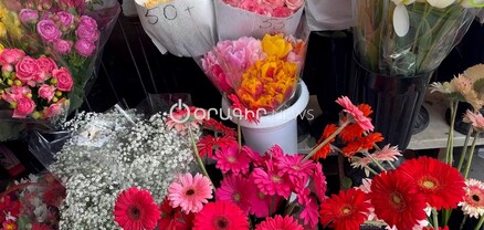 Ֆրեզիա՝ 1500, կալա՝ 500. ի՞նչ արժեն ծաղիկները ապրիլի 7-ին
