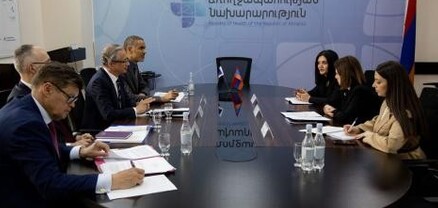 Առողջապահության նախարարն ընդունել է Եվրոպայի խորհրդի ներկայացուցիչներին