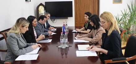 Անահիտ Մանասյանը բարձր է գնահատել Եվրոպայի խորհրդի հետ ձևավորված սերտ համագործակցությունը