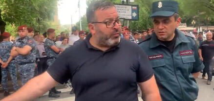 Քիչ ա մնում ասեք՝ հելեք ծառի վրա. Դանիելյանը՝ պարեկներին