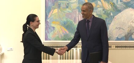 Աննա Վարդապետյանն ընդունել է Հայաստանում ԵԽ գրասենյակի նորանշանակ ղեկավարին