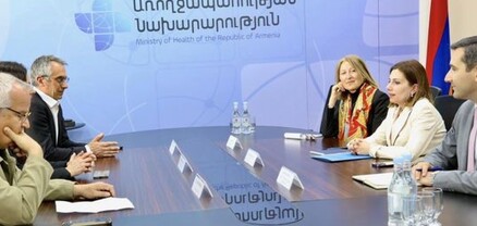 Անահիտ Ավանեսյանը հանդիպել է ֆրանսիացի բժիշկների հետ