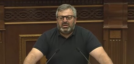 Թող ԱԺ անվտանգության աշխատողները դուրս գան, տեղը ծառեր տնկենք, անվտանգ կլինի