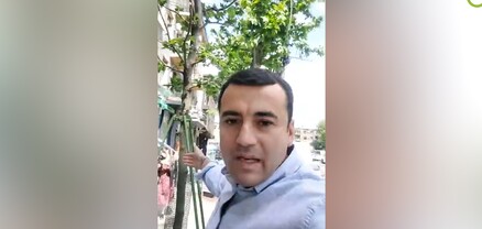 Քրեական վարույթի ընթացքում բերել, ծառերը փոխել են․ Արթուր Չախոյան