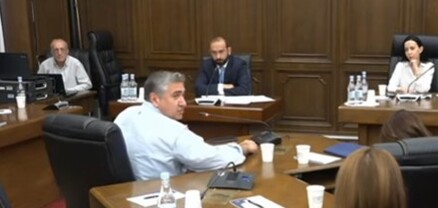 Էլի կշփվենք, եթե թnւրքական էլիտար զորքեր չբերենք Ձեզ ձերբակալելու․ Արարատ Միրզոյանը հեգնեց