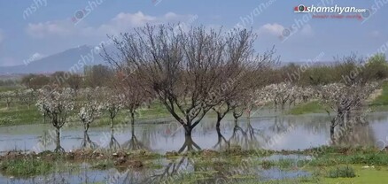 Ջուրը բաց է թողել հարևանի հողատարածք ու նրան պատճառել 2 մլն դրամի վնաս. shamshyan.com