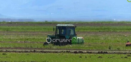 Մեր քյարը տանջանքն ու վարկ մարելն է. Շիրակի մարզի ֆերմերները բերքի իրացման խնդիր ունեն