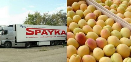 «Սպայկա»-ն գյուղացիներին խաբում է․ ծիրանի արկղերի տակ նշան եմ արել ու բռնել․ ահազանգ