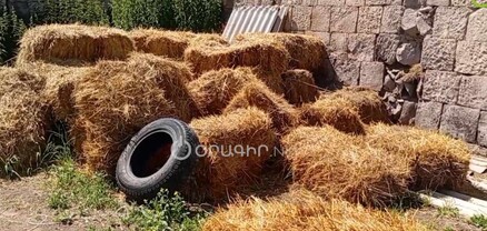Քաղաքակրթությունից դուրս կապրինք, մեր մոտ նախնադար է. կյանքը սահմանամերձ Բյուրակնում
