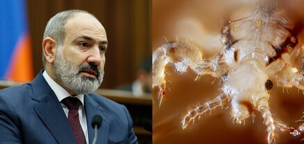 Լուկաշենկո Ալեքսանդրը սկսեց փակագծեր բացել և Փաշինյան Նիկոլին гнида (ոջիլի ձու) անվանեց