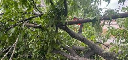 Քամու հետևանքով Երևանում և մի քանի մարզերում վնասվել են տանիքներ, թիթեղներ, տապալվել են ծառեր