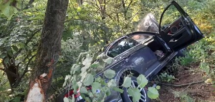 Տավուշի մարզում 42-ամյա վարորդը «Volkswagen»-ով բախվել է ճամփեզրի ծառերին․ կա վիրավոր․ shamshyan.com