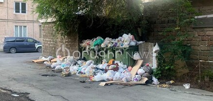 Կռիսները բակում վազում են. Նոր Նորքի բնակիչներն աղբահանությունից դժգոհ են