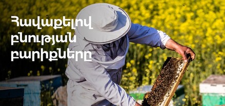Ամերիաբանկն ու ՔՈԱՖ-ը համատեղում են ջանքերը՝ ի նպաստ Լոռու մարզում մեղվաբուծության զարգացման