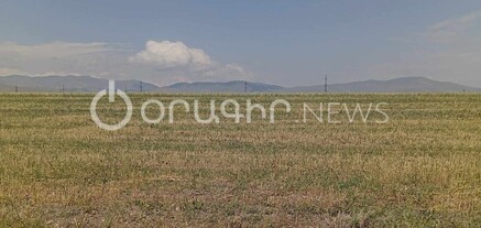 Նիկոլը ժողովրդի մատից փուշ հանող չէ, եղունգ ունես՝ գլուխդ քորիր. գյուղացի