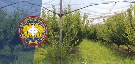 412 մլն դրամի հափշտակություն՝ պետական միջոցներից. 12 մեղադրյալի մասով վարույթն ուղարկվել է դատարան