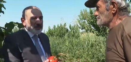«Ո՞նց ա վաճառքը», «Սենց որ գնա, ընտիր ա»․  Փաշինյանի չնախատեսված կանգառը գյուղացու բոստանում