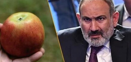 Փաշինյանն ու վերջինիս պահակախումբը ենթադրել են, թե խնձորը նռնակ է և անմիջապես պառկել են գետնին