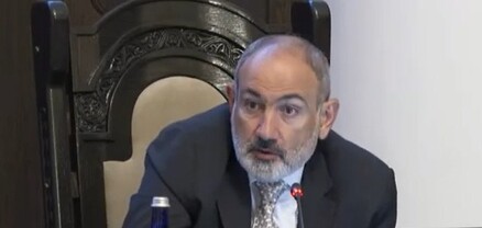 Եթե անտառը շենքի մեջ է աճել, չի նշանակում՝ պետք է արգելոց հայտարարենք. Նիկոլ Փաշինյան