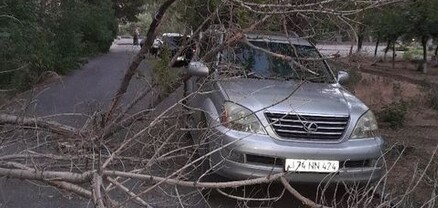 Քիչ առաջ քամին 100 տարվա չորացած ծառը գցեց ավտոմեքենայիս վրա․ բարեբախտաբար՝ մարդու բան չի պատահել․ Ղազար Գալոյան