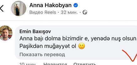 Աննա բաջի, տոլման մերն է, բայց թող անուշ լինի, Փաշինյանի հետ անվտանգ եղեք․ ադրբեջանցին գովաբանում  է Աննա Հակոբյանին