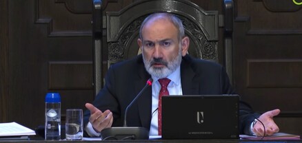 Ի՞նչ ենք արգելում, ամենաշատ ծառերը կտրվում են արգելոցներում․ արգելոց բառը Փաշինյանին դուր չի գալիս