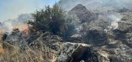 Պտղնի գյուղում խոտածածկ տարածք է այրվել