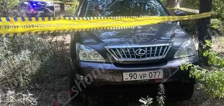 Սևանա լճի ափին հայտնաբերվել է Lexus. վարորդի մարմինը ջրասուզակները որոնում են լճում. shamshyan.com