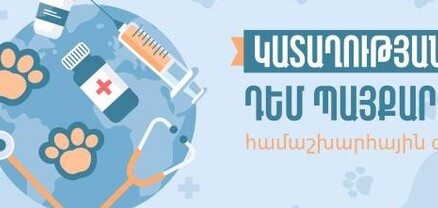 ՀՀ-ում առողջության պահպանման կազմակերպություններն ապահովված են կատաղության դեմ պատվաստանյութով