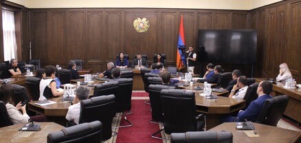 Անահիտ Մանասյանը մասնակցել է ոստիկանությունում իրականացվող բարեփոխումների վերաբերյալ քննարկմանը