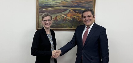Քննարկվել են Հայաստանի և Շվեդիա միջև հարաբերությունների զարգացմանն առնչվող հարցեր
