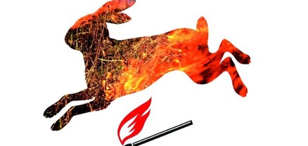 Շրջակա միջավայրի նախարարությունը հորդորում է չայրել խոզանները