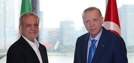 Էրդողանը հանդիպել է Իրանի նախագահի հետ