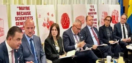 Անահիտ Ավանեսյանը հանդիպումներ է ունեցել գործընկերների հետ
