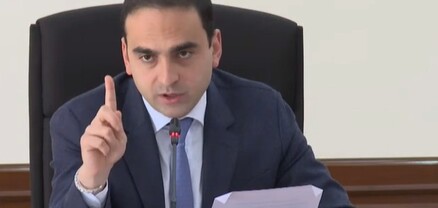 Նախագիծը մեզ մոտ 1 օրից ավել չպետք  է մնա. Տիգրան Ավինյան